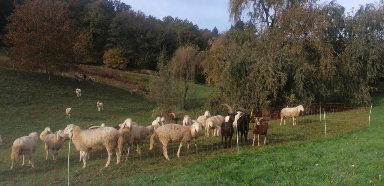 Antica Cascina Del Medico Hotel Muzzano Bagian luar foto