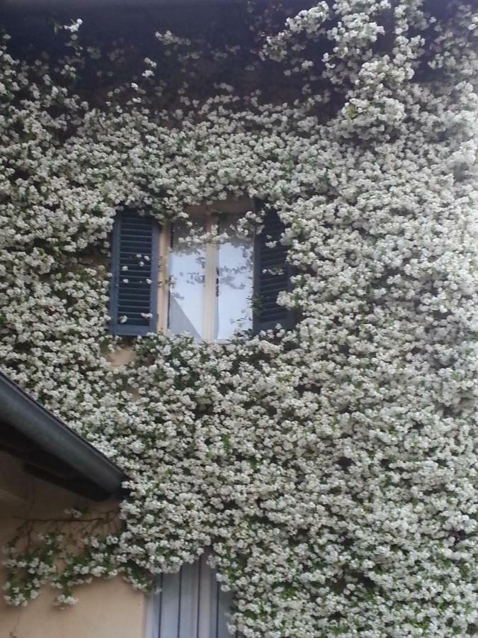 Antica Cascina Del Medico Hotel Muzzano Bagian luar foto