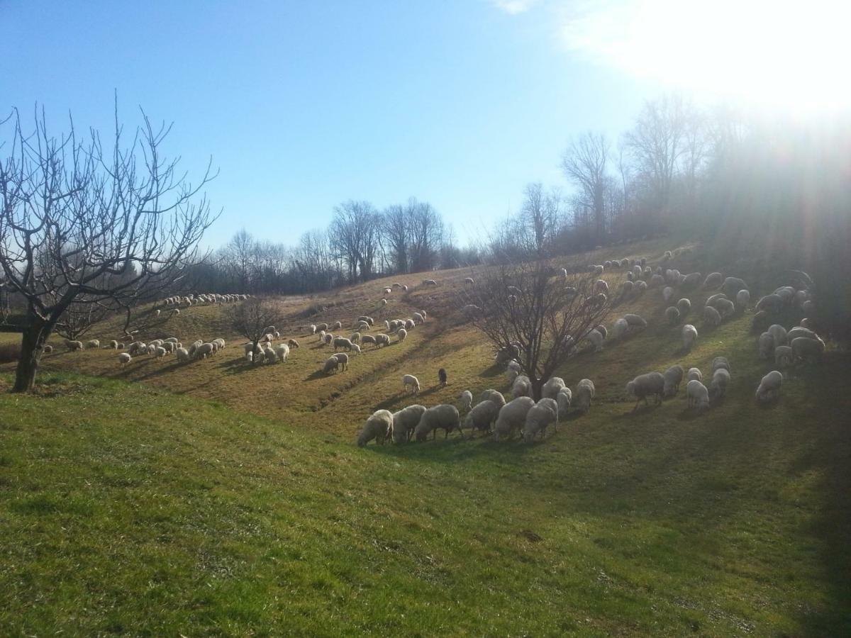 Antica Cascina Del Medico Hotel Muzzano Bagian luar foto