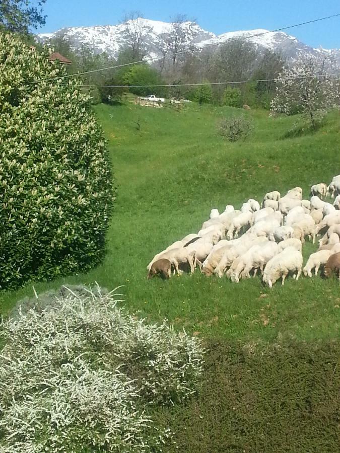Antica Cascina Del Medico Hotel Muzzano Bagian luar foto
